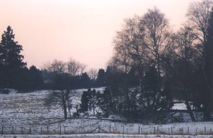 Early morning view