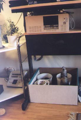 Play box with soil