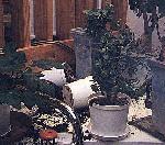 [Flowerpots]