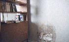 [Photo of the damaged apartment]